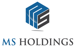 MS HOLDINGS